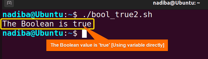 Checking if Boolean value is true by using the variable directly