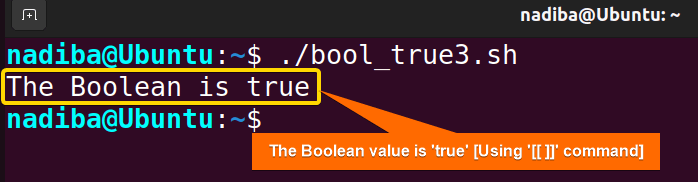 Checking if Boolean value is true by using the "[[ ]]" command with the string equality operator "=="
