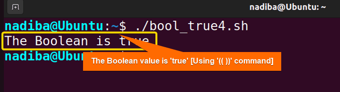 Checking if Boolean value is true by using the "(( ))" command