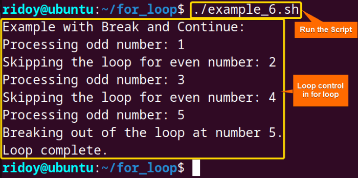 for loop example with break and continue