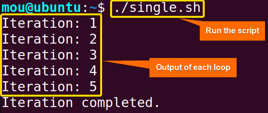 while loop with single condition