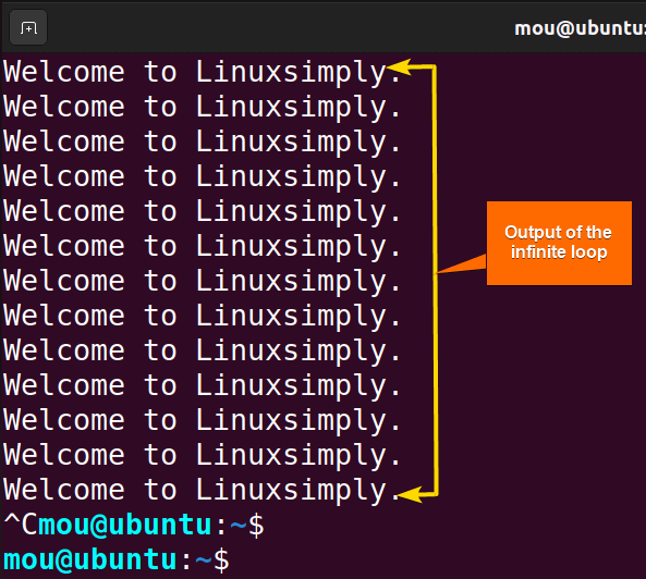 infinite while loop in bash