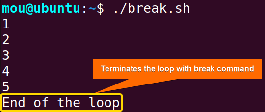while loop with break command