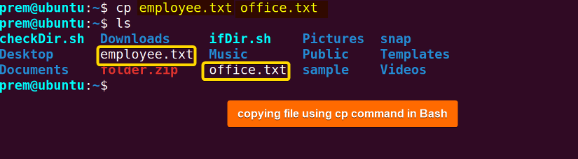 copy files in files and directory manipulation