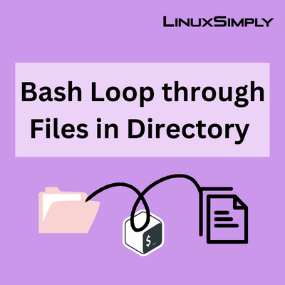 Showing Bash loop through files in directory with examples