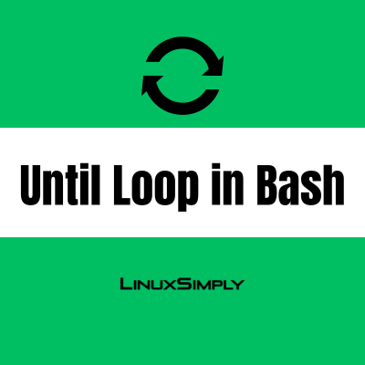 bash until loop