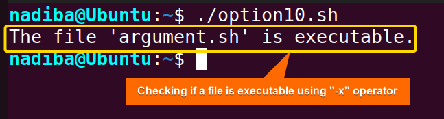 Checking if a file is executable using '-x' operator in Bash