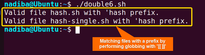 Performing globbing for pattern matching in Bash