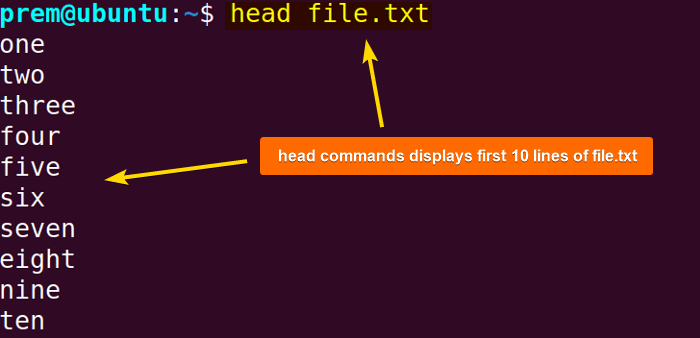 head command prints first 10 lines of file.txt