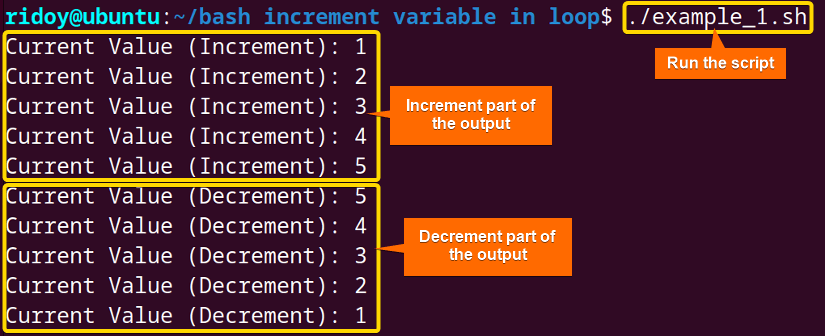 Basic "for" Loop with Increment and Decrement