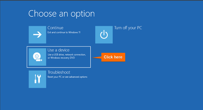 Choose Use a device from the boot window