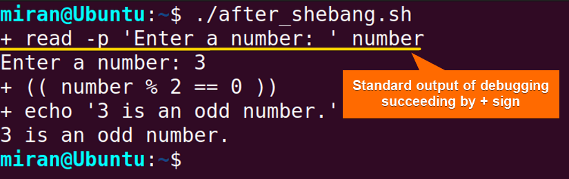 Placing “-x” Option in the Shebang Line