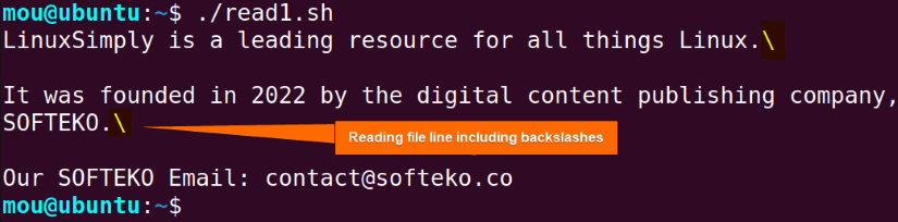 reading file line including backslashes with read command using while loop