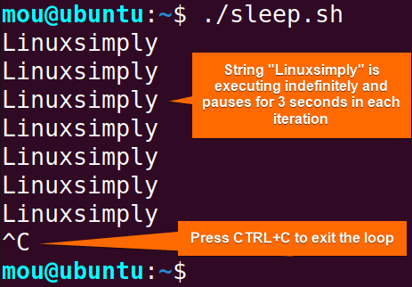 while true loop with sleep command