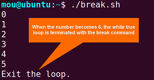 while true loop with break command