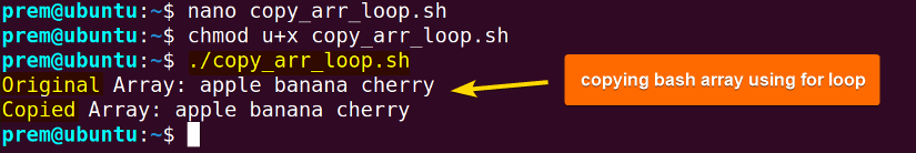 using for loop to copy array 
