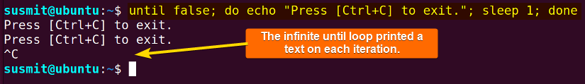 The infinite until loop has printed a text on each iteraion.