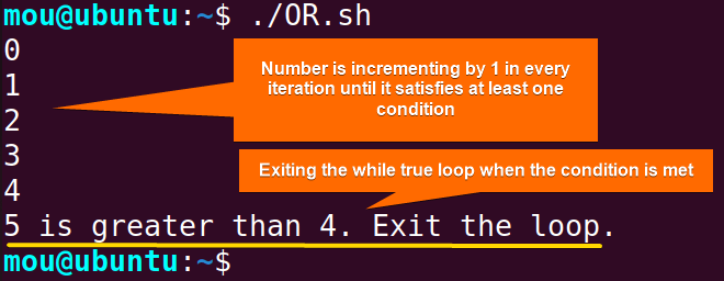 while true loop with OR operator