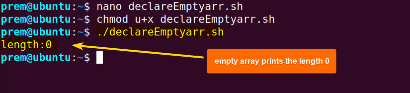 declare empty array