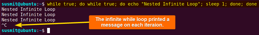 Nested while loop printed a message on the terminal.