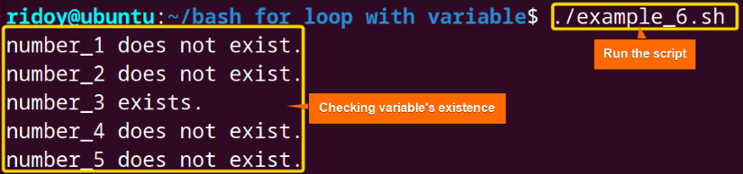 Check Variable in For Loop