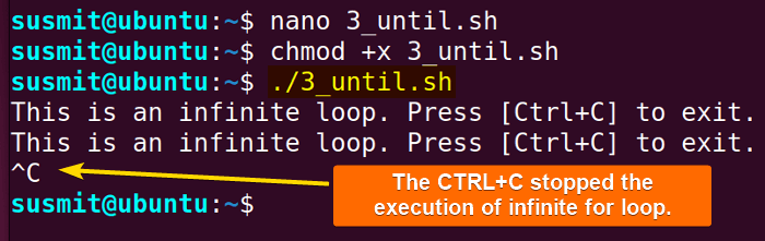 The while loop executes infinitely.