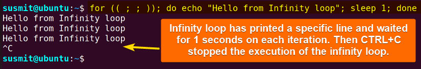 Infinite one line bash for loop.