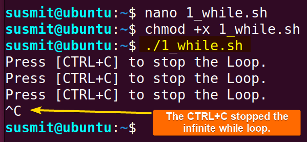 The CTRL+C stopped the execution of infinite while loop.
