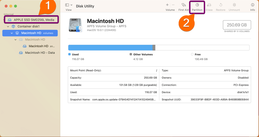Partitioning the Hard drive of Mac