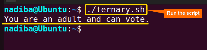 Writing bash if condition in one line using ternary operator