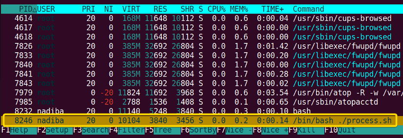 Using "htop" command to check if a process is running