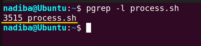 Using "pgrep -l" command to check if a process is running