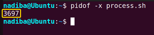 Using "pidof -x" command to check if a process is running