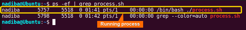 Using the "ps" command piped with the "grep" command to check if a process is running in Bash