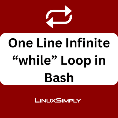 Bash infinite loop one line.