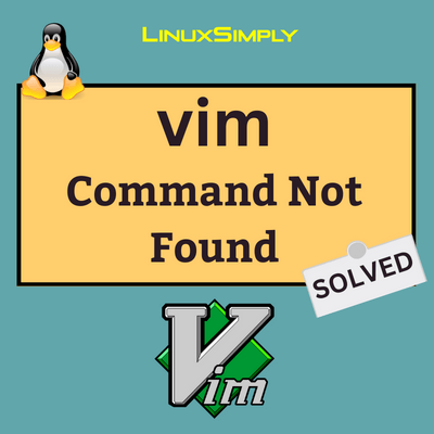 bash vim command not found