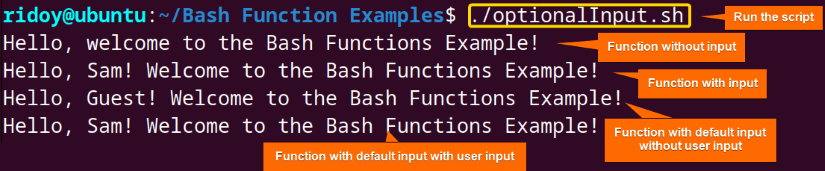 bash function with no input, single input and optional input
