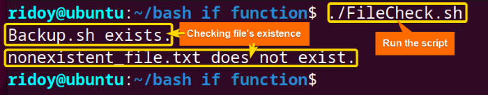 Check if a file exists using bash if conditional statement within function