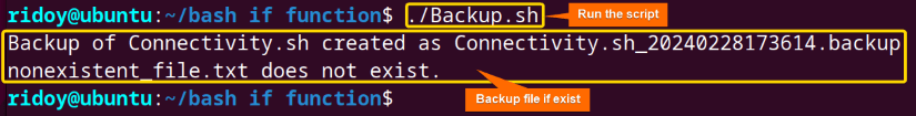 create backup of a file