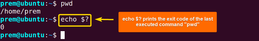 bash exit code printing using echo $?