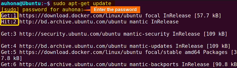 The execution of the "sudo apt-get update" command.