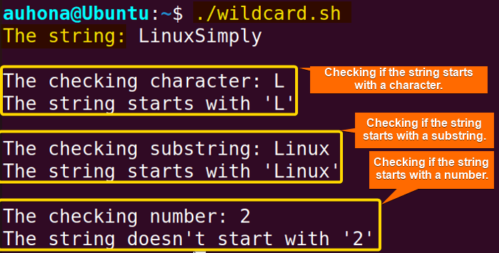 Bash check if string starts with some value using wildcard.
