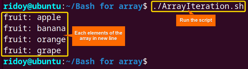 basic for loop echoes all elements of an array