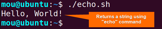 return string from function using echo command