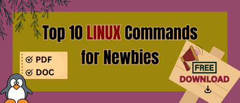 10 top LINUX Commands for newbies