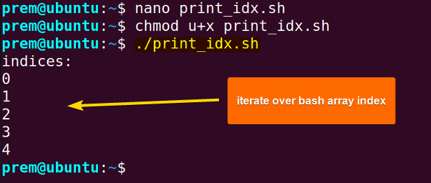 print index of array