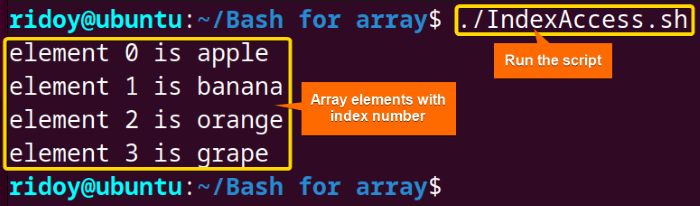 array elements are echoed with their corresponding index number