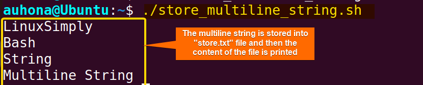 Store multiline string in a file