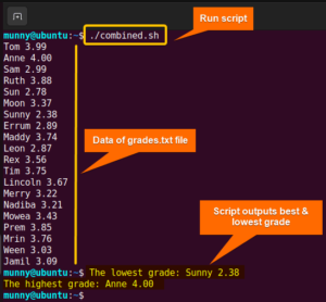 Send Pipe Output to Two Commands in Bash [3 Methods] - LinuxSimply