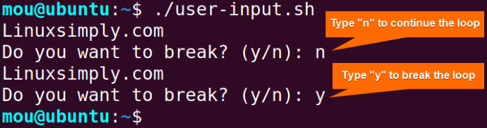 break while loop based on user input in bash